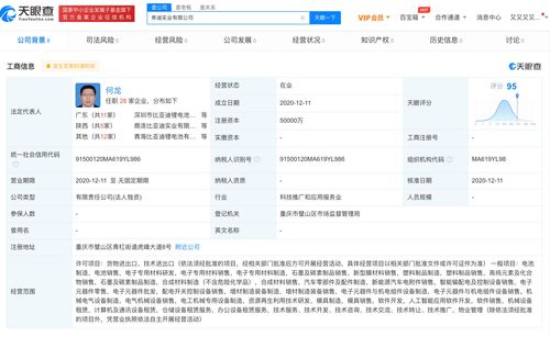 比亞迪成立弗迪實業，布局人工智能應用軟件開發